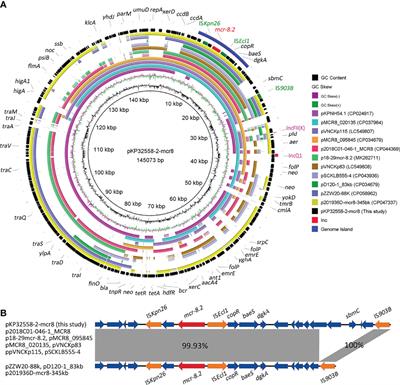 Convergence of MCR-8.2 and Chromosome-Mediated Resistance to Colistin and Tigecycline in an NDM-5-Producing ST656 Klebsiella pneumoniae Isolate From a Lung Transplant Patient in China